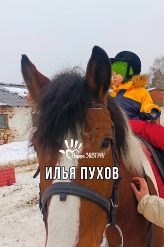 Илья Пухов