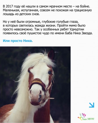 История волшебной лошади Ники