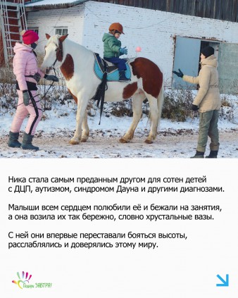 История волшебной лошади Ники