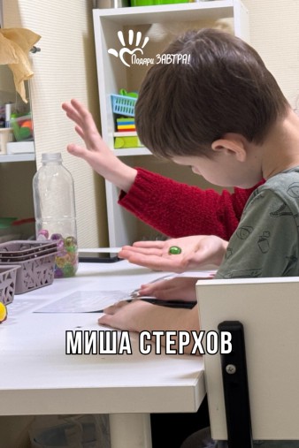 Миша Стерхов