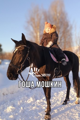 Гоша Мошкин